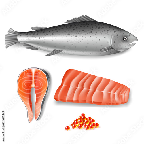 Salmon fish, steak, caviar set. Raw meat food vector illustration. Slice of fillet, fresh seafood elements isolated on white background. Cuisine for kitchen cooking from nature