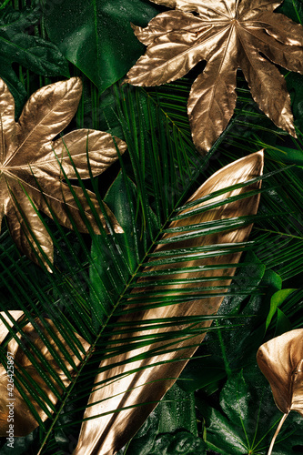 Fototapeta Naklejka Na Ścianę i Meble -  Tropical layout with various fresh golden and green palm leaves on dark background. Minimal summer exotic abstract concept. Creative natural close up texture pattern. Flat lay, top view.