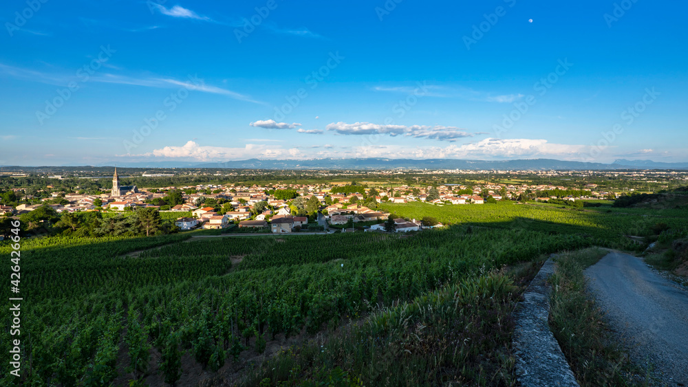 Panoramic view of the typical french vineyard Cornas village with grapevine on the foreground and the moon overlooking Vercors mountains on the background.