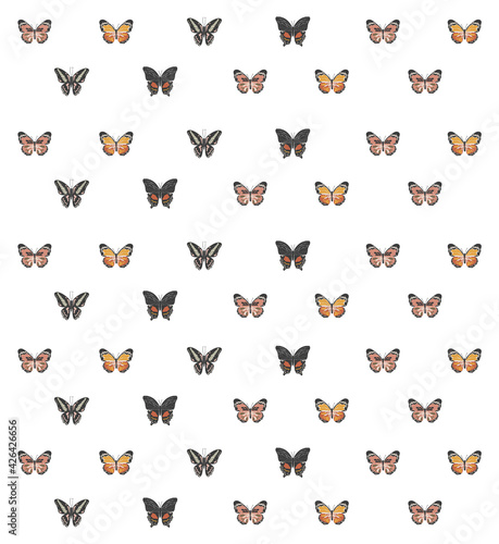Abstract spring colorful butterfly pattern, boho butterfly vector,  spring insect collection, nature elements, beautiful multicolour drawing butterfly pattern, vector illustration