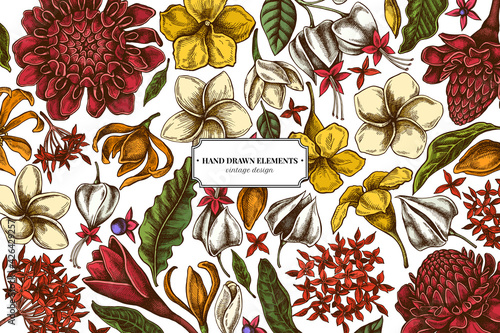 Floral design with colored plumeria, allamanda, clerodendrum, champak, etlingera, ixora