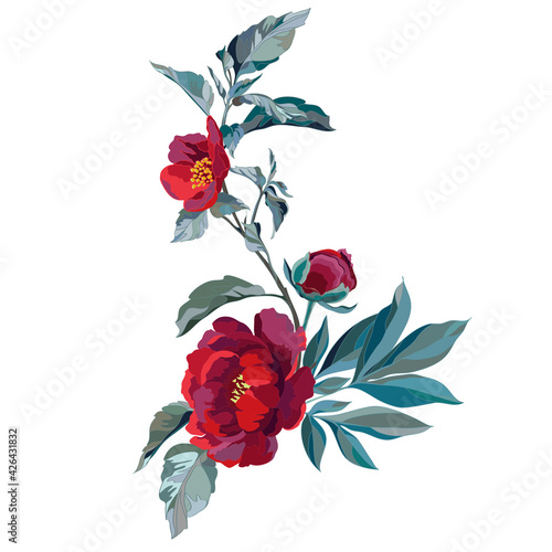 dark red peonies