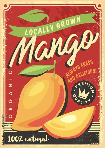 Mango locally grown tropical fruit decorative ad design for fruit market. Mango fruits retro vector poster template. Fresh organic food.