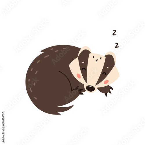 Badger on a white background. Forest animal. Vector illustration of Brock mammal species