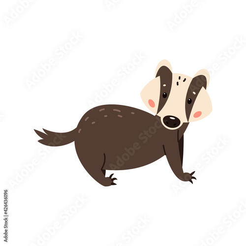 Badger on a white background. Forest animal. Vector illustration of Brock mammal species