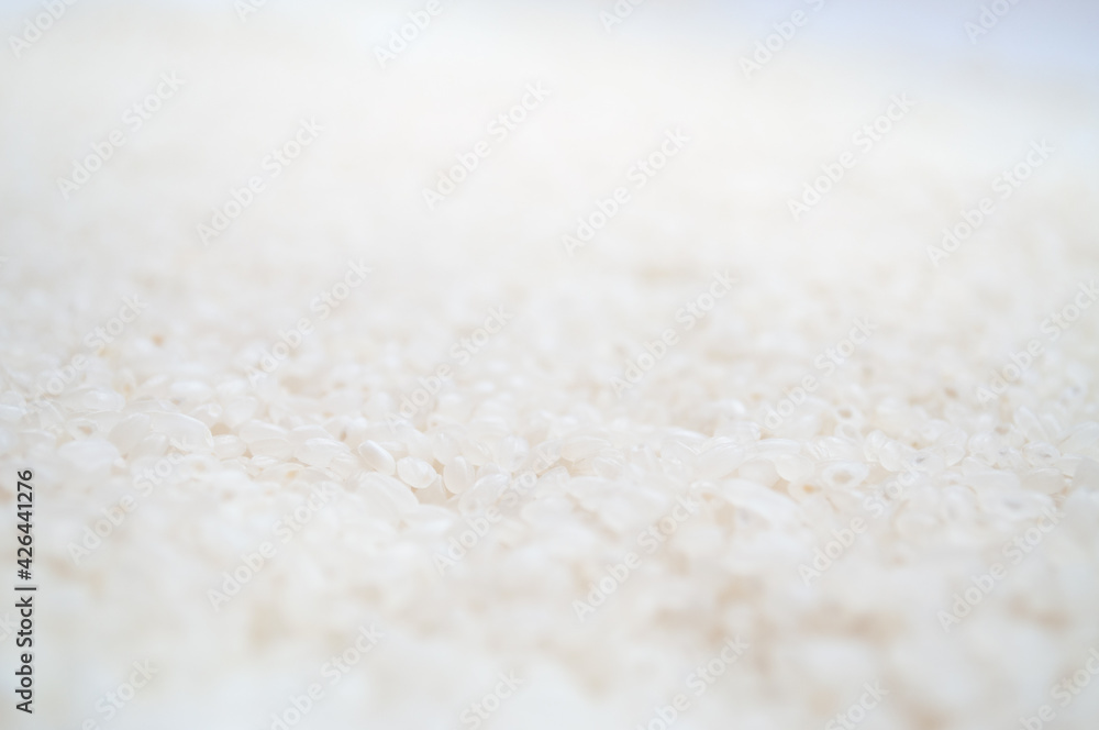 Texture of white rice for cooking sushi Texture of white rice for cooking sushi