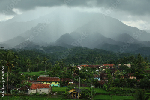 Wallpaper Mural Misty Morning at Cisalak Subang Torontodigital.ca