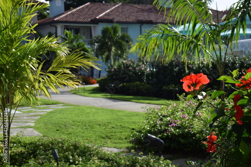 Tropical Paradise