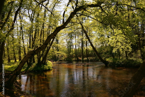 Schwalmauen Grenzgebiet D-NL