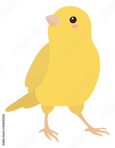 Canary