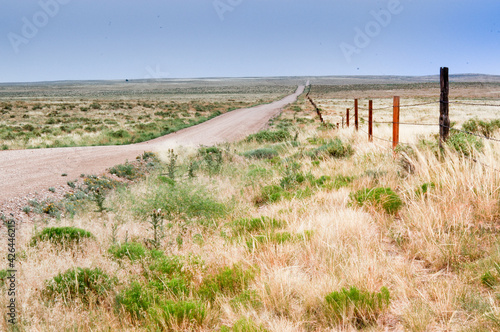 Deserted road and fences stretching out to the horizon  late afternoon  Weld County  Colorado