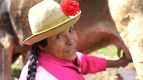 Close-up portrait of a Peruvian indigenous woman sorting a cow in the province of Cuzco in the country of Peru. photo