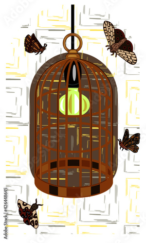 Vintage birdcage lampshade with moths flying around.