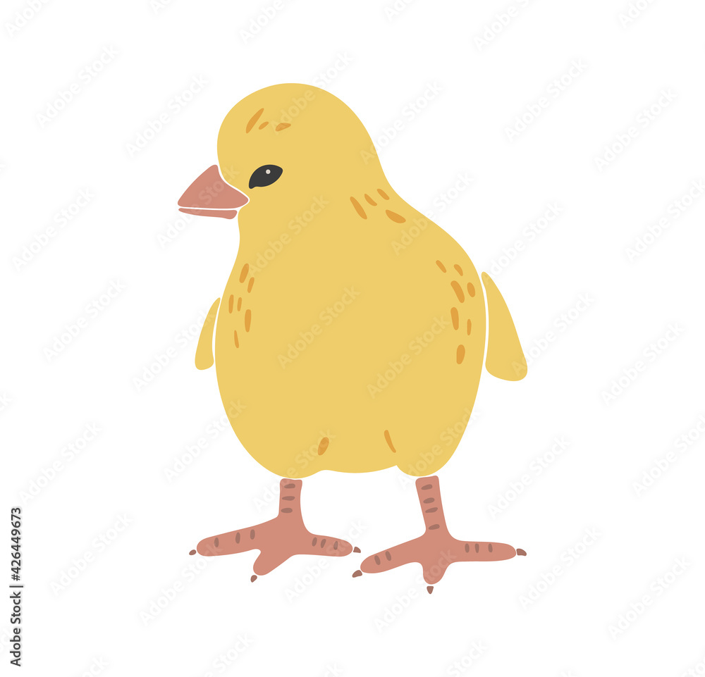 Abstract chicken silhouette, boho yellow isolated chick, Easter traditional elements, Easter chicken decoration, funny chick, vector illustration Abstract chicken silhouette, boho yellow isolated chick, Easter traditional elements, Easter chicken decoration, funny chick, vector illustration