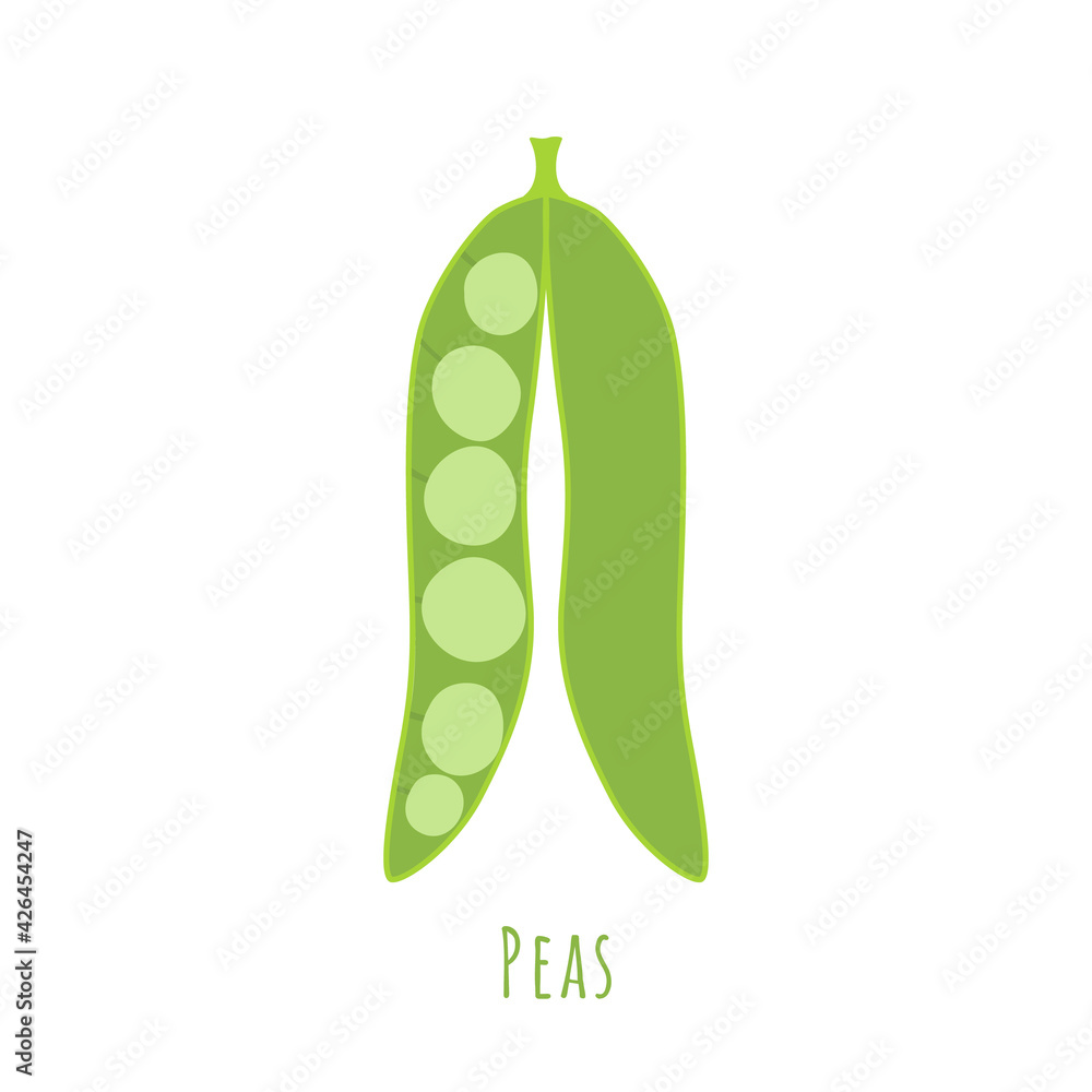 One Single pea seed-pod isolated on white One Single pea seed-pod isolated on white