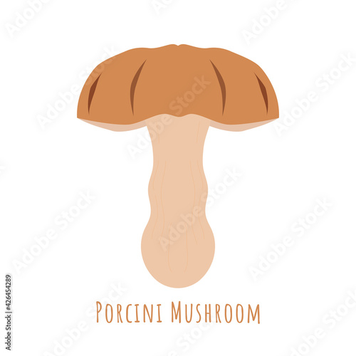 Single one Porcini Mushroom isolated on white