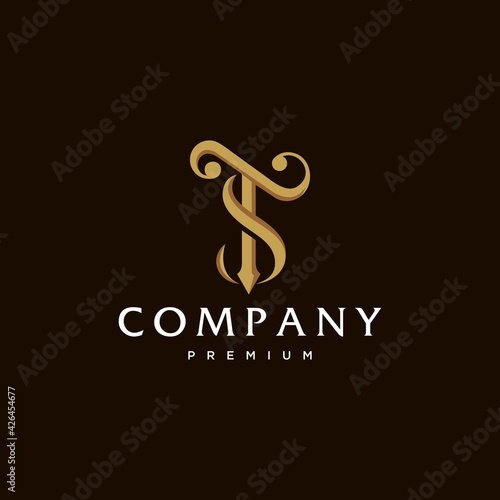 TS ST T S elegant gold classic logotype design vector, vintage decorative T and S letter logo