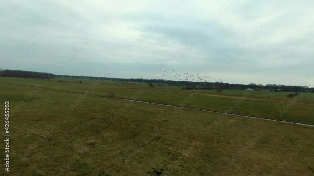 Fpv following shot showing black group of birds flying over rural farm fields during cloudscape at sky. Dynamic curved flight. Fpv following shot showing black group of birds flying over rural farm fields during cloudscape at sky. Dynamic curved flight.