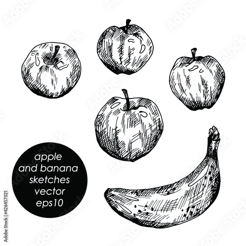 vector set of hand-drawn apples and bananas. isolated on a white background. logo, icon, print, sticker, decor, graphic, sketch, hatching