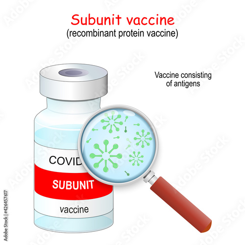 Covid-19 coronavirus. Recombinant protein vaccines. Subunit vaccine