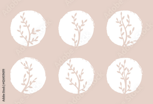 Set abstract account art background story highlight covers icons with branch leaves.Circle logo highlight pink for social media stories.Stylish design element for beauty shop,bloggers and cover.Vector
