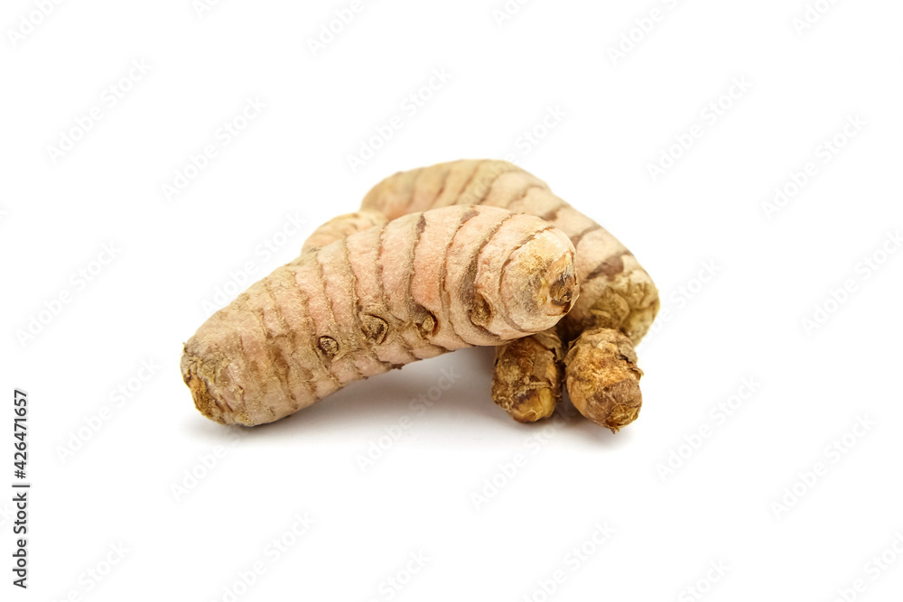Curcuma roots isolated on white background. Turmeric Curcuma roots isolated on white background. Turmeric