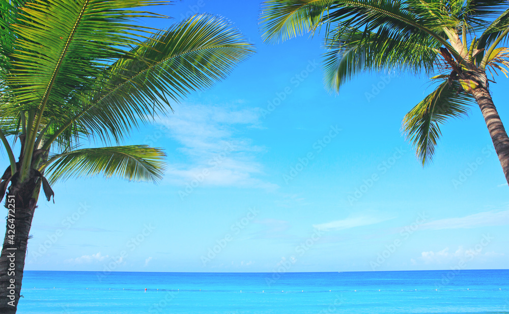 Beautiful palm trees and caribbean sea.