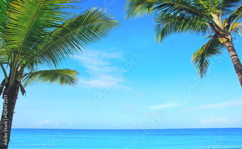 Fototapeta Naklejka Na Ścianę i Meble -  Beautiful palm trees and caribbean sea.