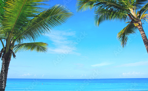 Beautiful palm trees and caribbean sea.