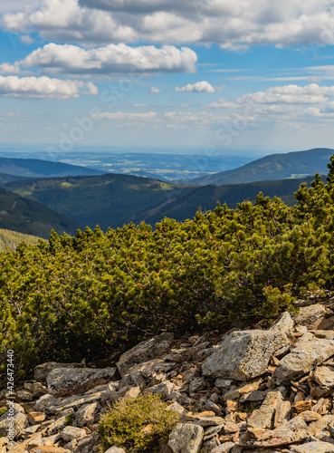 Panorama of Giant Mountains next to trail to Sniezka photo