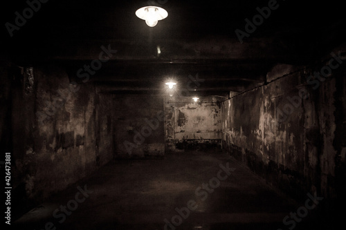 A horror dark Nazi gas chamber