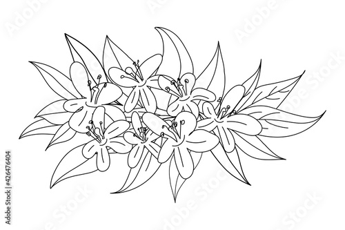 Wallpaper Mural Vector illustration of blossoming flowers in line art style. Design elements for advertising perfume, booklets, banners, stickers, posters, flyers and cosmetic shop. Torontodigital.ca