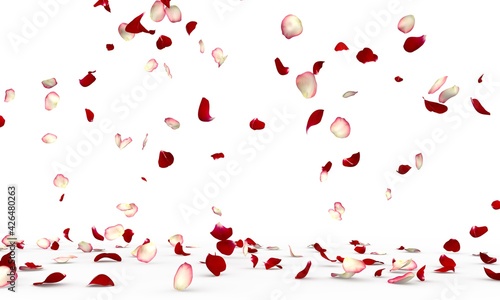 Fototapeta Naklejka Na Ścianę i Meble -  White and red rose petals fly and fall to the floor