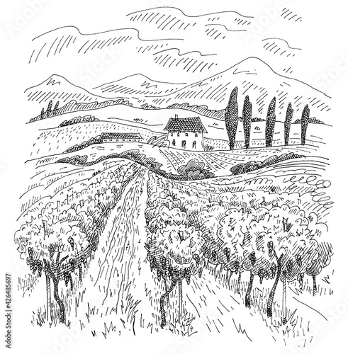 Rural landscape with villa, vineyard fields and hills. Vector black vintage engraving isolated on white background. Hand draw design illustration