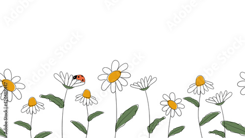 Seamless border of daisies hand drawn in simplified children cartoon naive style on white background.Cute ladybug sitting on flower.For design of website or shop for spring or summer.Vector