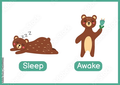 Sleep and awake opposite adjectives educational wordcard. Flashcard with a cute bear for school and preschool. Activity page for kids. Vector illustration