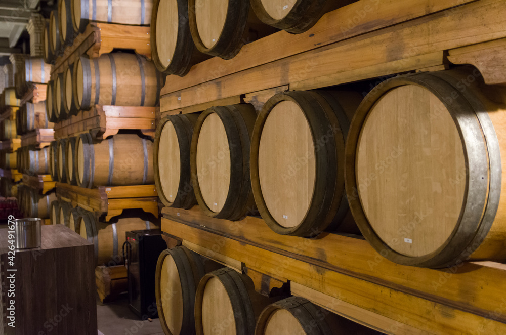 Oak barrels for wine aging in an underground cellar in Vale dos Vinhedos