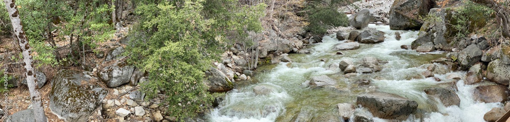 Yosemite in Spring