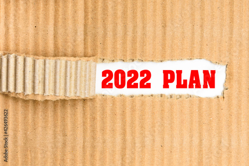 The 2022 plan discovered, a word written on its cover torn from a courier cardboard.