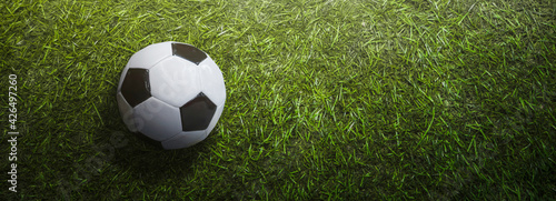 soccer football ball on a grass of a field