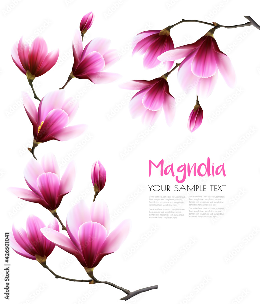Nature background with blossom branch of pink magnolia. Vector Nature background with blossom branch of pink magnolia. Vector
