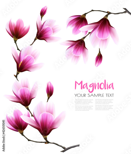Nature background with blossom branch of pink magnolia. Vector