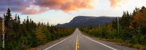 Scenic highway during a vibrant sunny day in the fall season. Dramatic Sunrise Sky Art Render. Taken in Newfoundland, Canada. Panoramic Background