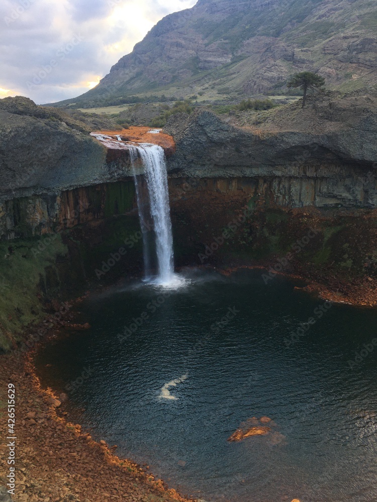 Fototapeta premium falls in autumn