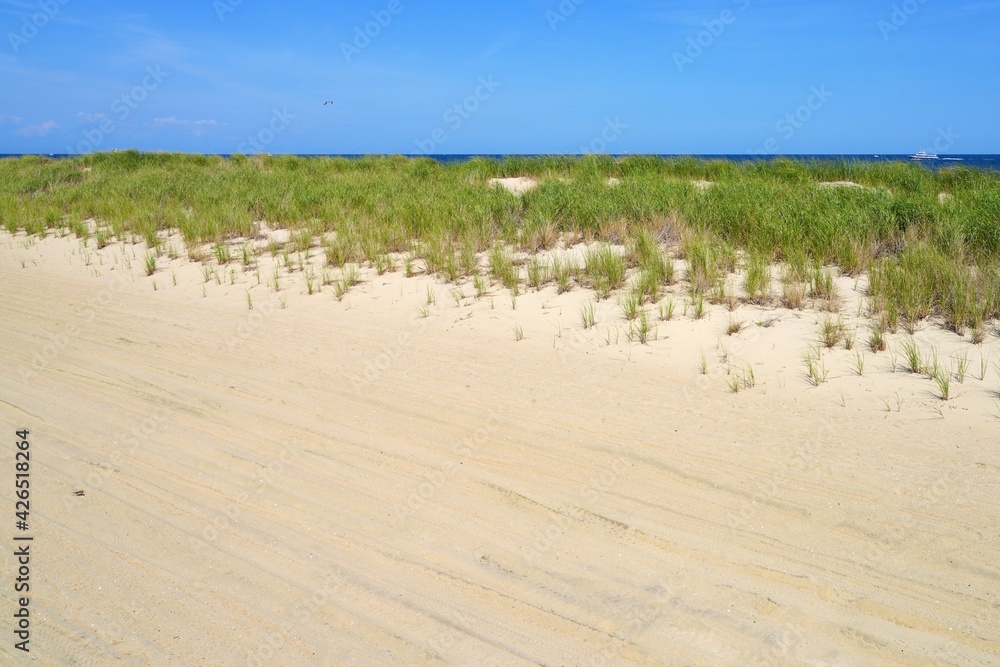 View of sand dunes on the beach at Avon-by-the-Sea on the New Jersey Shore, United States