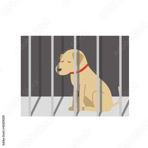 殺処分される犬