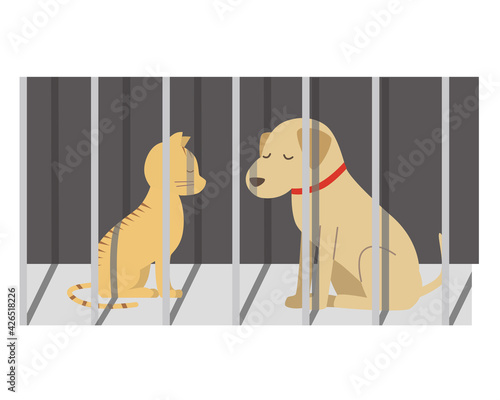 殺処分される犬と猫