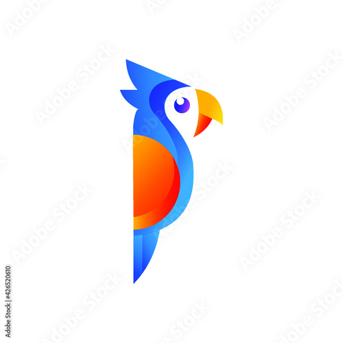 bird colorfull awesome logo design vector