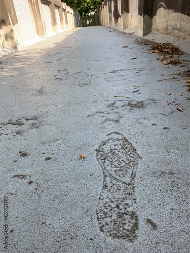 Permanent shoe print in concrete path