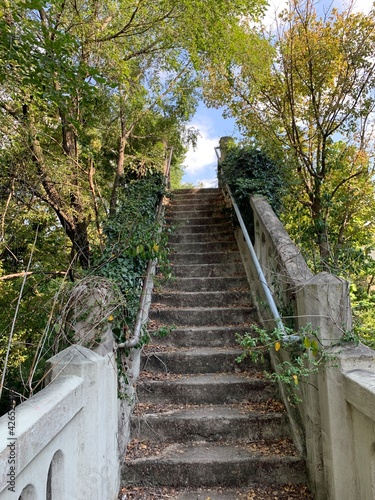 overgrown old stone bridge